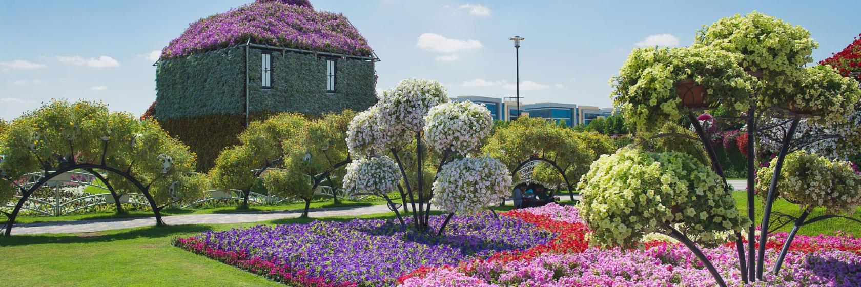Blumenparadies Dubai Miracle Garden